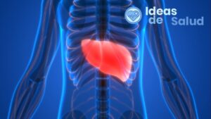 ¿Cuáles son los síntomas de la grasa en el hígado?